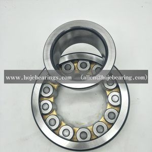 LSL192322 INA FAG BRAND CYLINDRICAL ROLLER BEARING