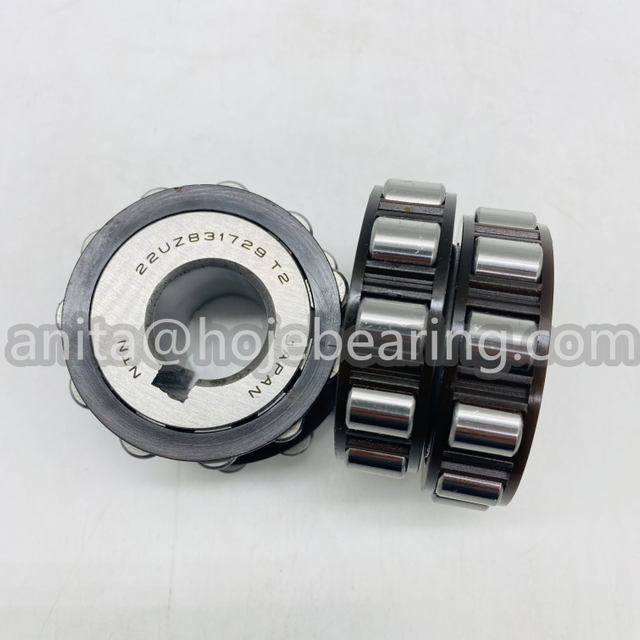 22UZ21106 T2 PX1 22X58X32MM CYLINDRICAL ROLLER BEARING NTN ECCENTRIC BEARING