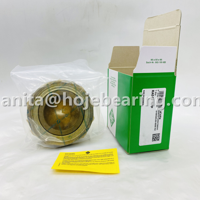 RAE45-NPP Radial insert ball bearing INA