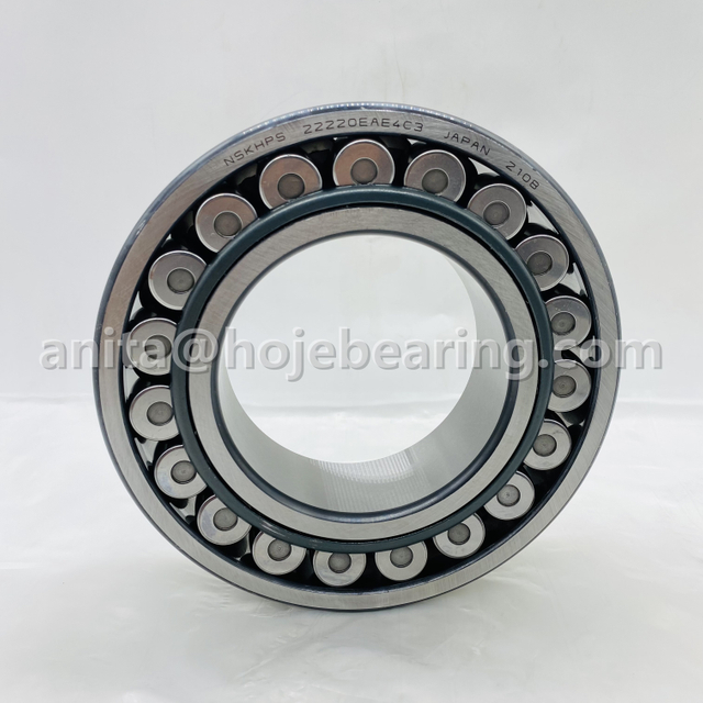 NSK Double Row Spherical Roller Bearing 2220EAE4